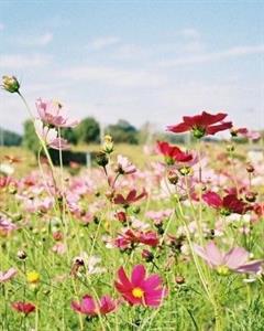 Photo 899889
