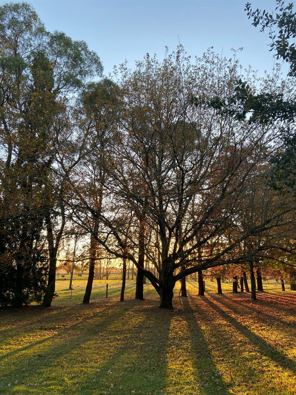 Photo 967712